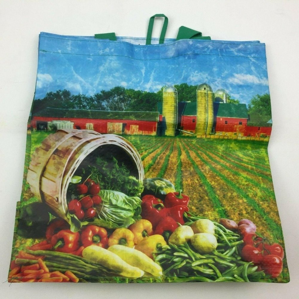 Be Wise Earthwise Reusable Grocery Shopping Bag